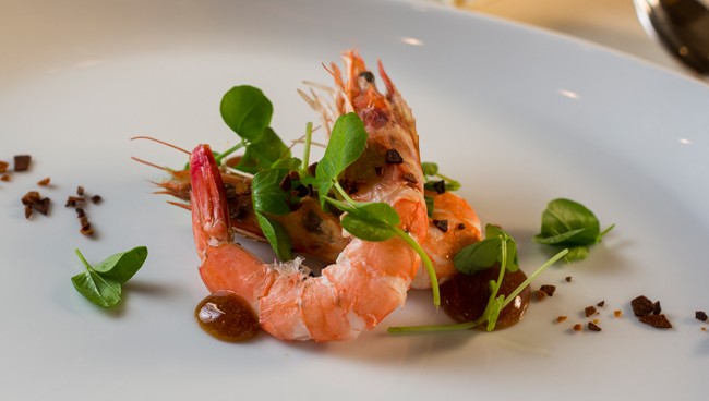 new-york-culinary-featured
