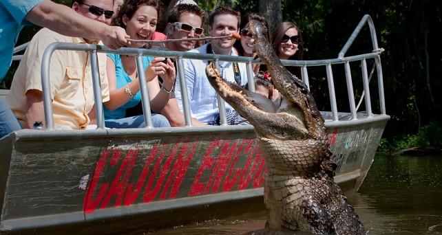 Alligator-jumping