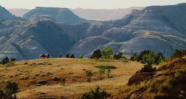West-Horses-in-TRNP-Medora-5