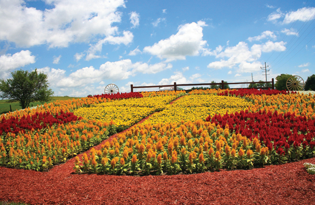 See 19 giant gardens planted in the shape of Quilt patterns on the American Bus Association Top 100 Event, Quilt Gardens Tour, only in Amish Country of Northern Indiana, annually May 30-October 1 with Master Gardener step-on guides.