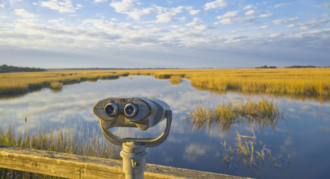 100 Magical Miles of Georgia Coastline Map