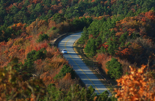 Immerse yourself in jaw-dropping fall foliage along the Talimena National Scenic Byway.