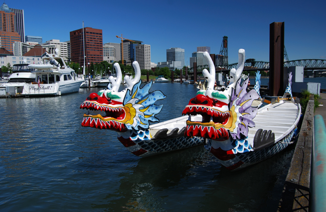 Dragon boats in downtown Portland