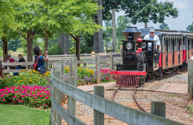 Guests can jump aboard the locomotive train for a trip around the farm. All photos courtesy the Rock Ranch