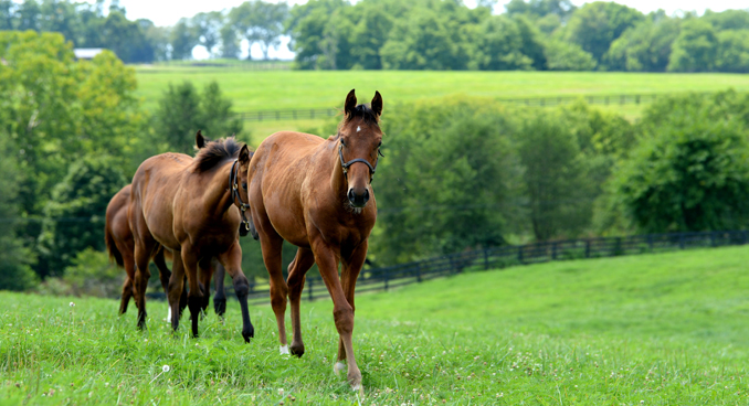 Dive into Kentucky's Downtowns - The Group Travel Leader | Group Tour