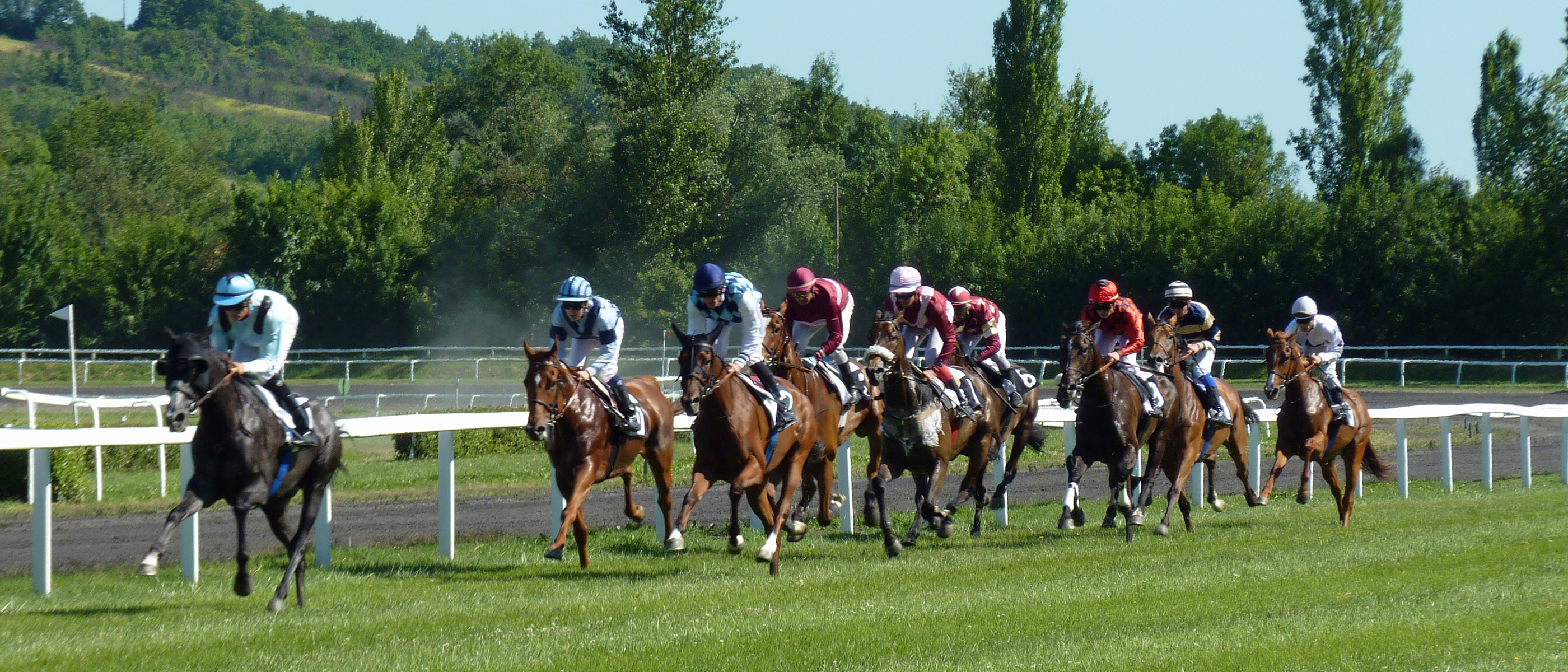 Horse Race Game Instructions Horse Race Game Instructions