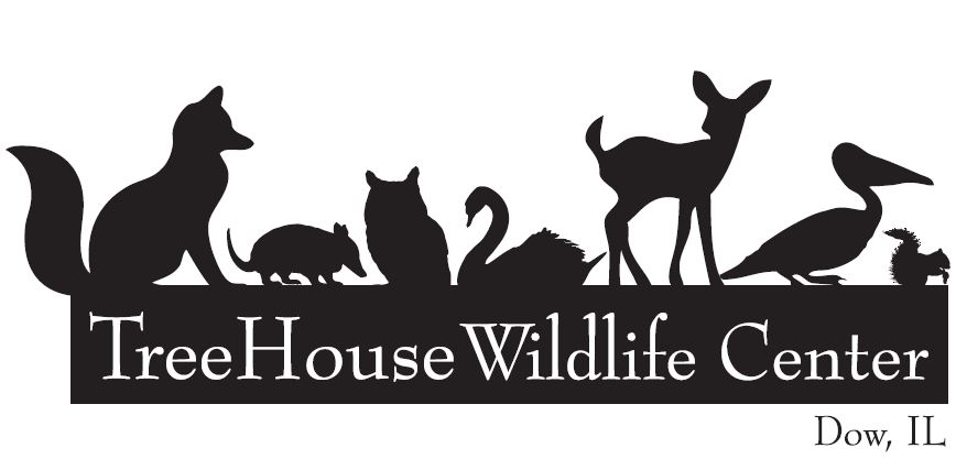 TreeHouse Wildlife Center
