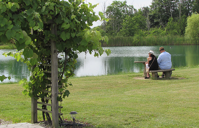 The Youngstown area is home to five beautiful wineries.