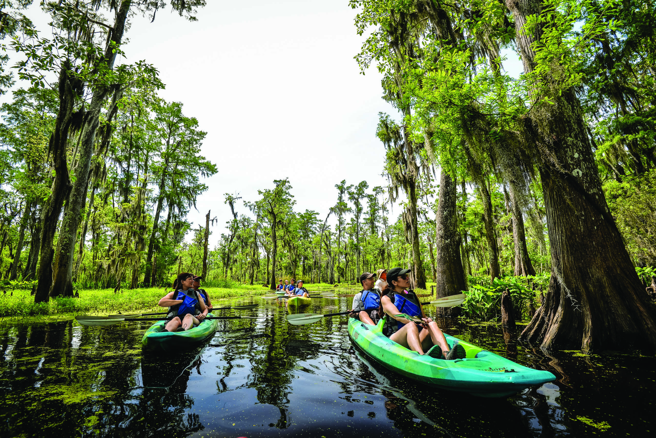 Kayakers take in the beauty of Manchac Swamp 