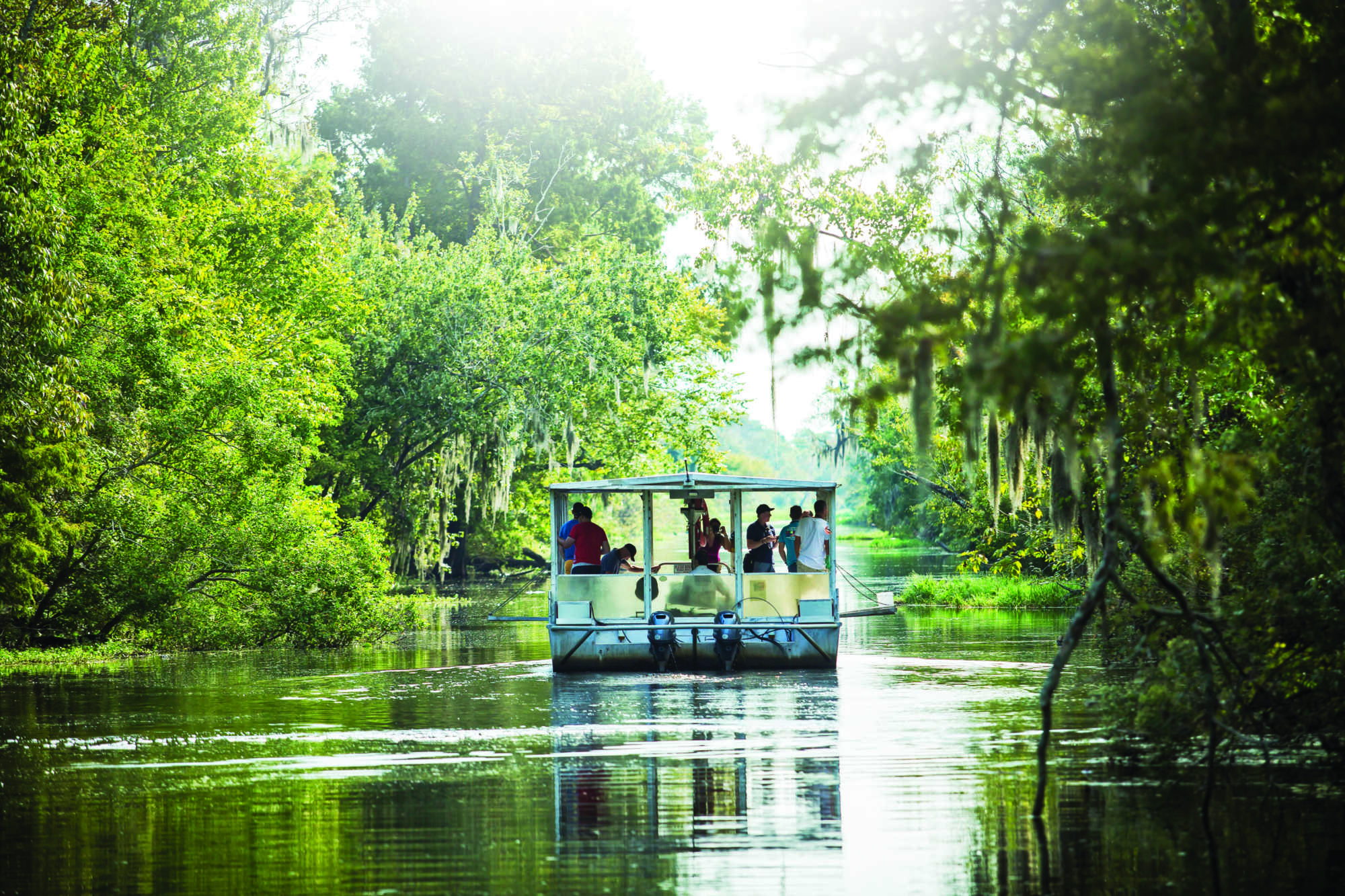 Unimaginable beauty awaits in New Orleans Swamp Country