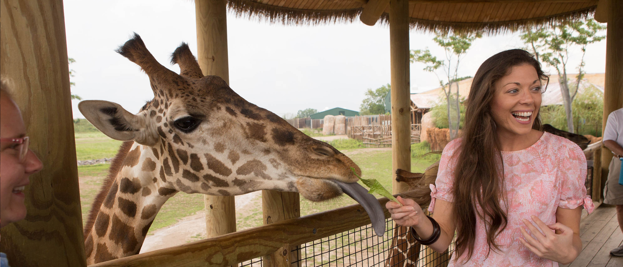 Arts, Astronauts & Animals in Southeast Ohio - The Group Travel Leader ...