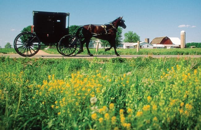 amish-2