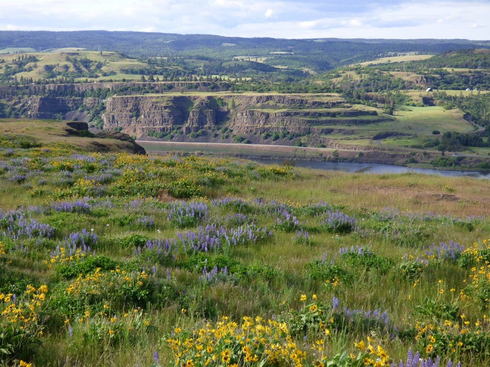 columbia-river-gorge4