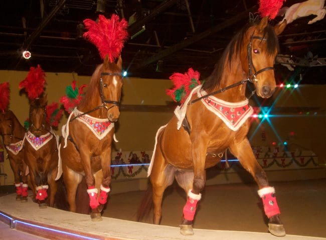 dancing-horse2