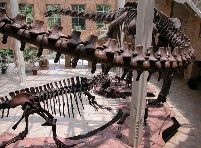 gtm-june15-fernbank3