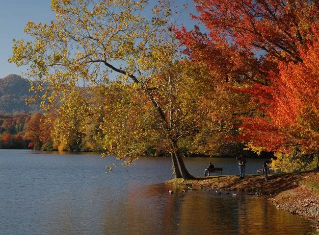 haywood-2