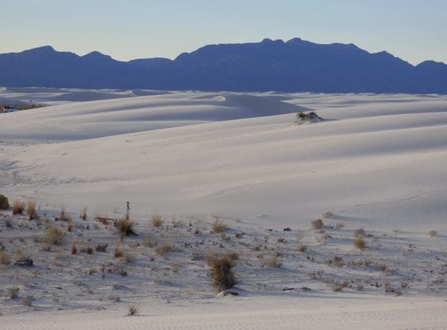 new-mexico10