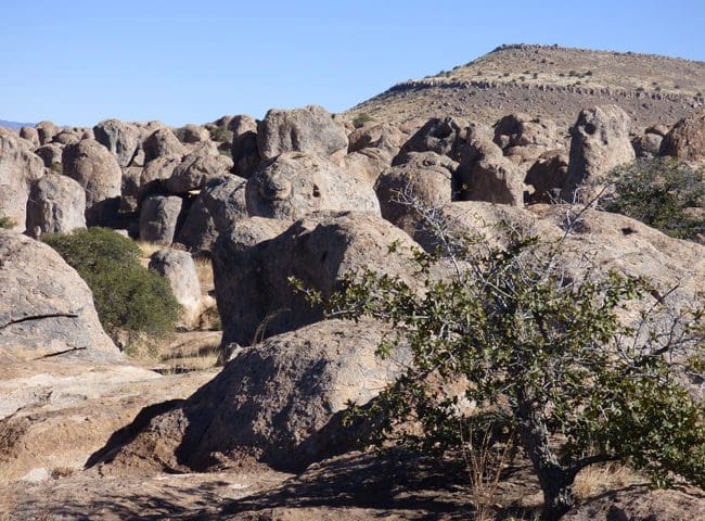 new-mexico13