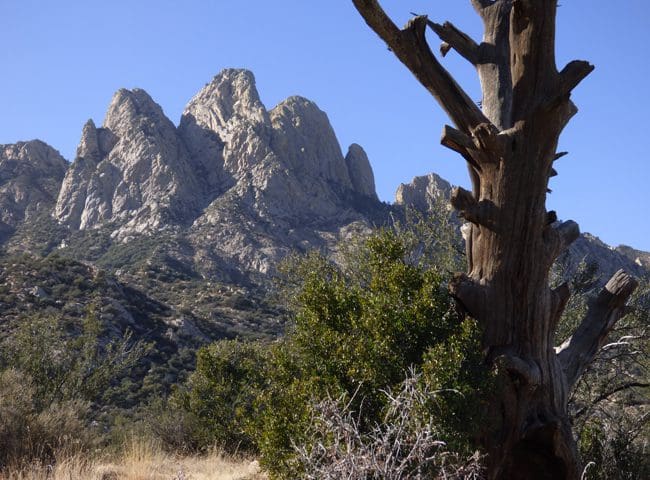 new-mexico15