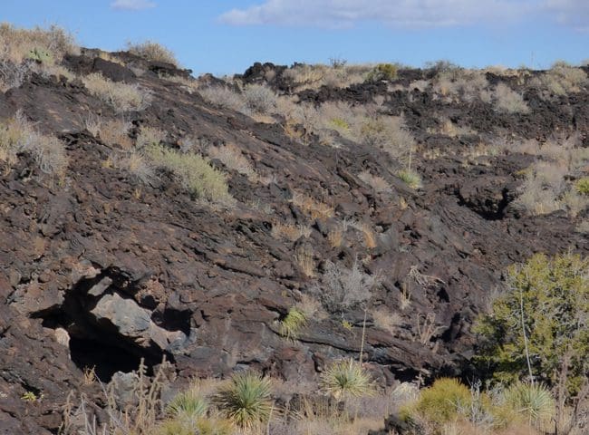 new-mexico8