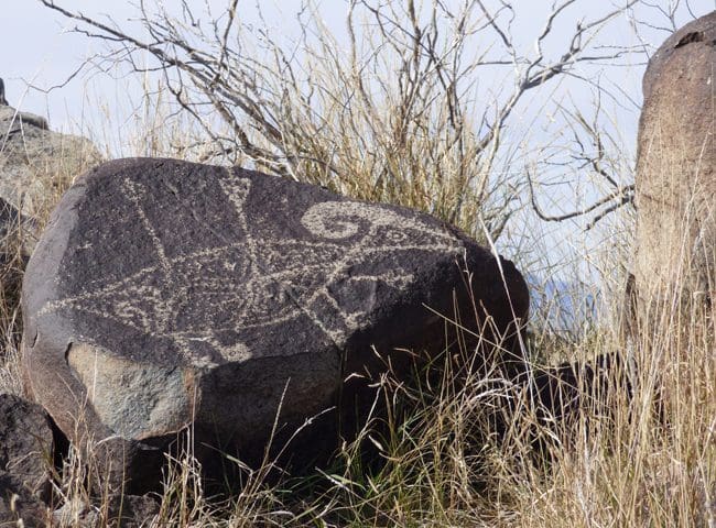 new-mexico9