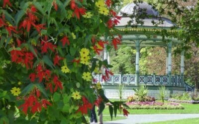 Public gardens in Halifax