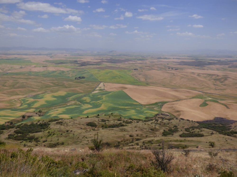 steptoe-butte-15