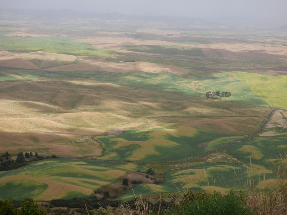 steptoe-butte-16