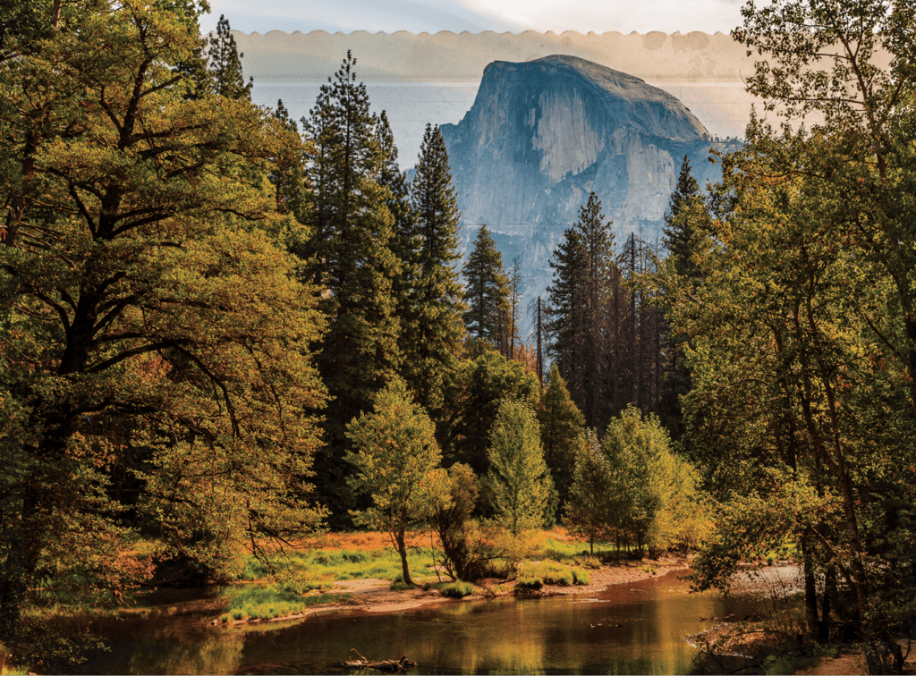 Forest riverbank with a calm stream and a distant granite dome.